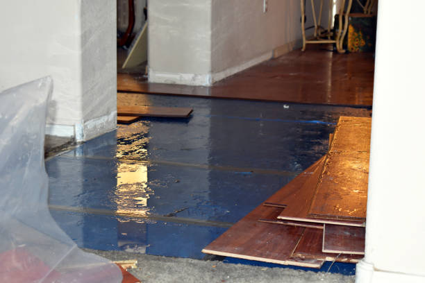 Professional Basement Flood Cleanup technician working in Woodbine, MD